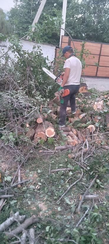 Спил деревьев, заготовка дров: Бак кыйабыз отун аралайбыз. ар кандай кыйынчылыктагы 24/7 чалып — 8