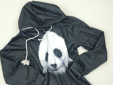 spodnie z łańcuszkiem: Sweatshirt, 13 years, 152-158 cm, condition - Very good at lalafo.pl spodnie z łańcuszkiem: Sweatshirt, 13 years, 152-158 cm, condition - Very good