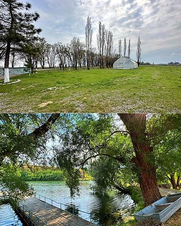 Продажа сельхоз предприятий: Рыбное хозяйство, 400 соток, Действующий, С оборудованием, Электричество, Скважина, Холодная вода — 8