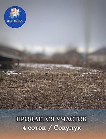 думал: 4 соток — 1