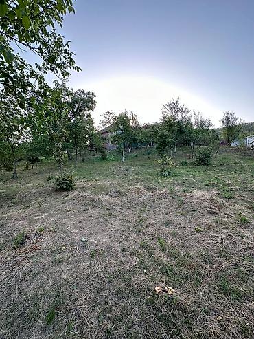 Torpaq sahələrinin satışı: 22 sot, Mülkiyyətçi, Bələdiyyə — 4