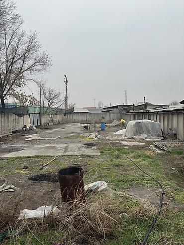 Кыймылсыз мүлк: 29 соток, Кызыл китеп — 5