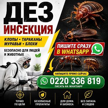 Дезинсекция от клопов и тараканов - Обработка от: клопов, тараканов at lalafo.kg Дезинсекция от клопов и тараканов - Обработка от: клопов, тараканов