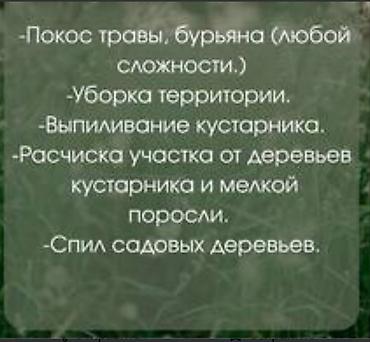 черна зем: Уборка территории, Уход за деревьями — 4