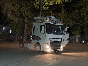 мото мини: Тягач, DAF, 2014 г., Без прицепа — 3
