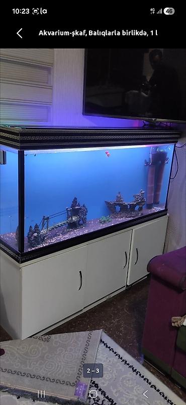 syomqa baliq: Akvarium-şkaf, Balıqlarla birlikdə, 250 l, Ünvandan götürmə — 1