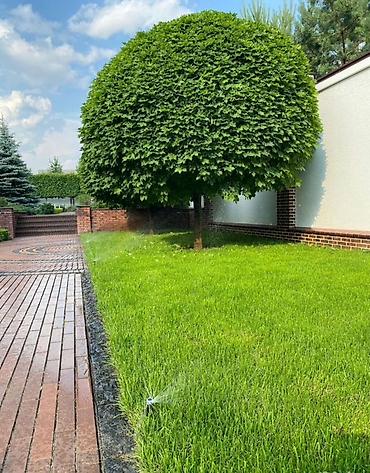 Установка другой техники: Автополив «под ключ» для газонов, клумб, садов и огородов. Что — 9