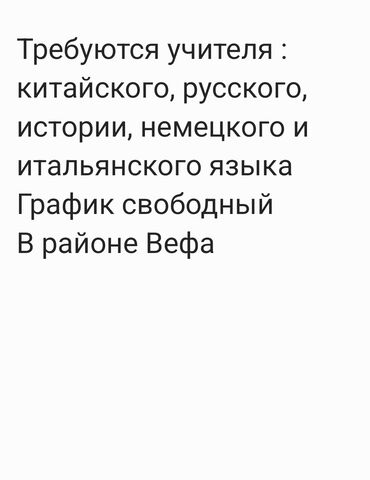 мини камера видеонаблюдения с передачей на телефон как работает: Требуются учителя : китайского, русского, немецкого и итальянского