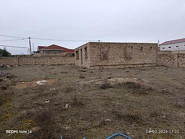 berde: Tikinti — 2
