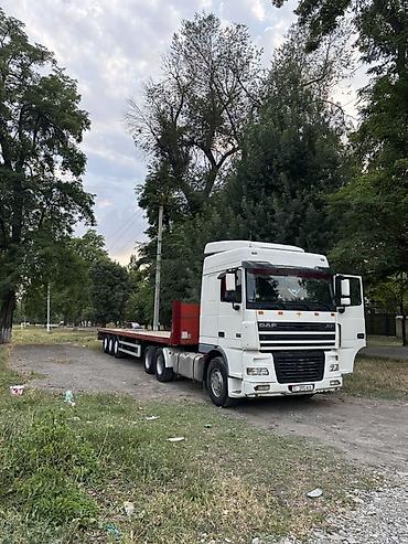 Тягачи: Тягач, DAF, 2004 г., Без прицепа — 1
