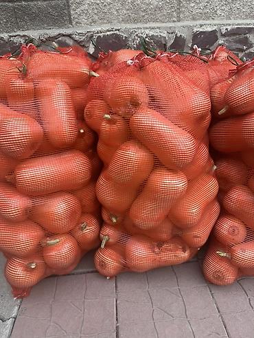 мешками: Тыква Японка есть оптом ))))Тыква мускатная (баттернат) в сетках - — 1