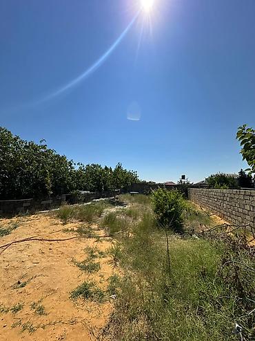Bağ evlərinin satışı: Satılır Bağ Evi – Novxanı, Qurtdərəsi (6 Sottu). Novxanı qəsəbəsinin — 21