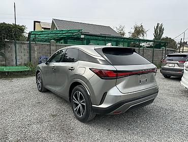 Lexus: Lexus RX: 2026 г., Бензин, Кроссовер — 11