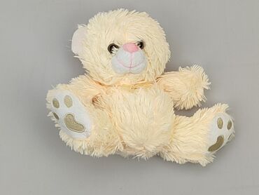 Mascots: Mascot Teddy bear, condition - Good