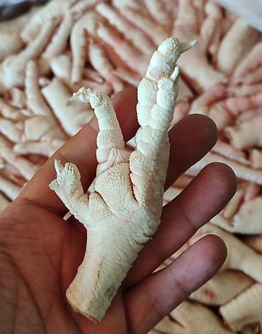 Продукты питания: Замороженные куриные лапы, хранение при -18°C. В наличии 20 тонн — 2