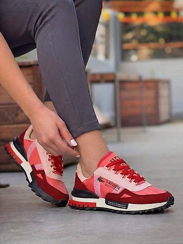 Patike: Lacoste uniseks patike – retro trkački stil - Model — 2