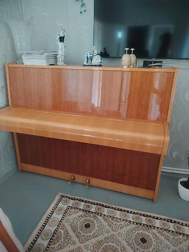 klarnet sol: Şuprik upright piano - Korpus: parlaq cilalı açıq və tünd ağac — 2