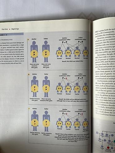 Спорт жана хобби: Учебник: Robert S. Feldman — Child Development (Second Edition) - — 2