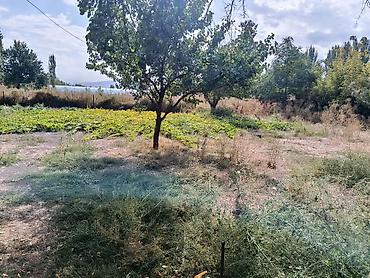 Аренда домов: 🏡 СДАЁТСЯ ДОМ В СОКУЛУКЕ Сдаётся частный дом в Сокулуке на большой — 5