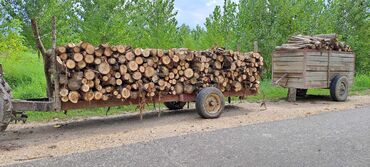 Ugalj i drvo za ogrev: Na prodaju topola cena dogovor