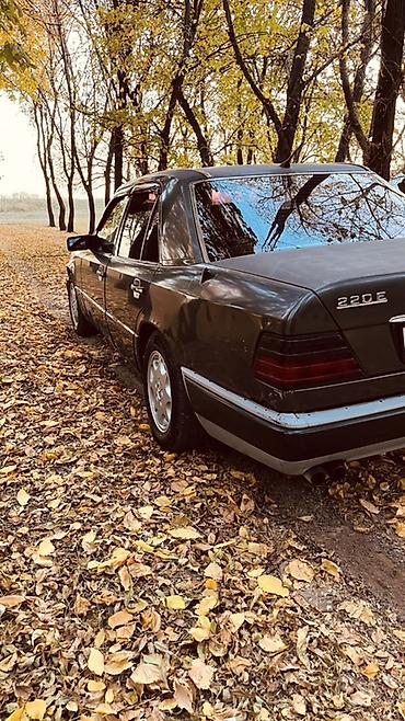 mersedes e220: Mercedes-Benz W124: 1994 г., 2 л, Механика, Бензин, Седан — 6