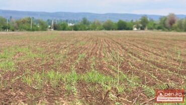 продаю дом в арча бешике: 1 соток, Для сельского хозяйства, Тех паспорт