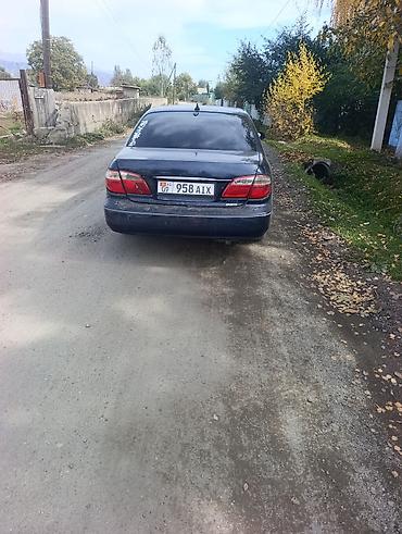 Nissan Maxima: 2000 г., 3 л, Механика, Бензин, Седан