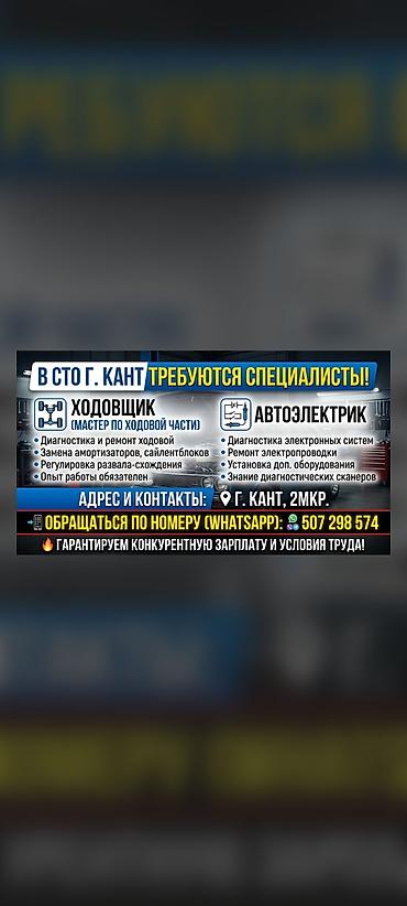 съёмный тонировка: Требуется в сто автоелектрик и ходовшик с опытом работы г Кант 2мкр — 1