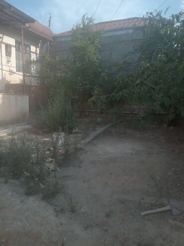Kirayə evlər: 2 kv. m, 3 otaqlı