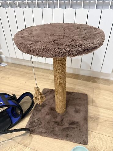 Зоотовары: Набор для кошки/котёнка(б/у) В комплект входит: - Когтеточка-столб с — 2