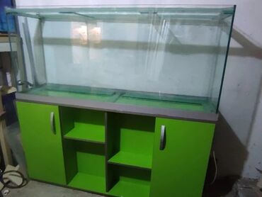 akvarium satilir: Yalniz ŞKAFİ SATİLİR . 1.60 uzunlugu // 0.40 eni arxa