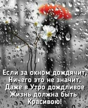 квартира арендага берилет: 3 соток Айыл чарба үчүн