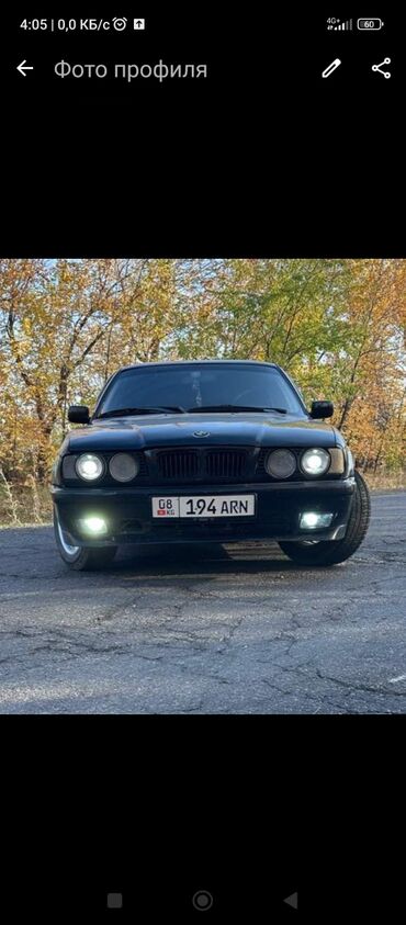 стекло на сапог: BMW 520: 1995 г., 2 л, Механика, Бензин