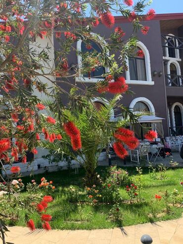 Həyət evləri və villaların satışı: Şüvəlan qəs. 5 otaqlı, 384 kv. m, Yeni təmirli — 9