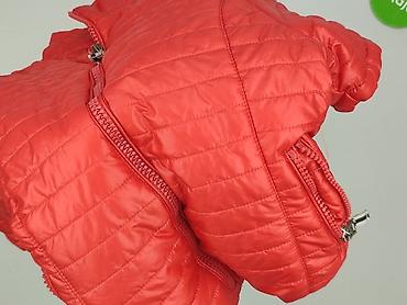 jacket disney: Kurtka przejściowa damska, rozmiar S — 6