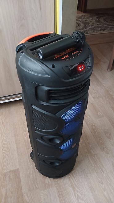 Audio: Portativ partnyor səs sistemi – bofi ZQS88805 - Güclü partnyor tipli — 1