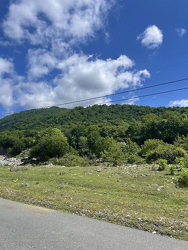 Torpaq sahələrinin satışı: Tikinti, Mülkiyyətçi, Kupça (Çıxarış) — 1