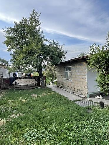 Продажа дач: Продаётся дом в с. Кунтуу. Центр. Большой участок.Подойдет для — 6