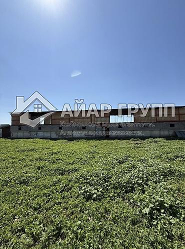 Продажа сельхоз предприятий: Ферма КРС, 20 соток, Электричество, Холодная вода — 6