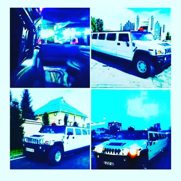 Трансфер, пассажирские перевозки: | 1516 мест — 8