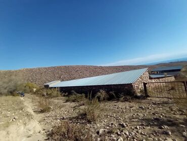 Продажа участков: 1800 соток, Для бизнеса, Красная книга at lalafo.kg — 12 Продажа участков: 1800 соток, Для бизнеса, Красная книга — 12