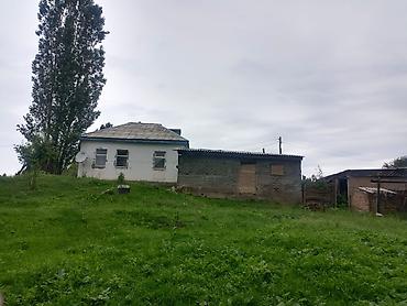 дом кут: Жилой дом с придомовым участком и хозяйственными постройками. Иссык — 2