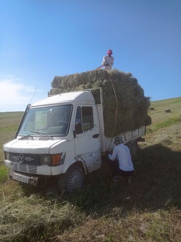 опель вектра б: Mercedes-Benz : 1989 г., 2.9 л, Механика, Дизель, Бус