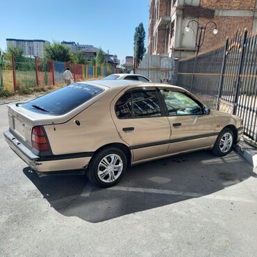 каропка ниссан: Nissan Primera: 1991 г., 2 л, Механика, Бензин, Хетчбек