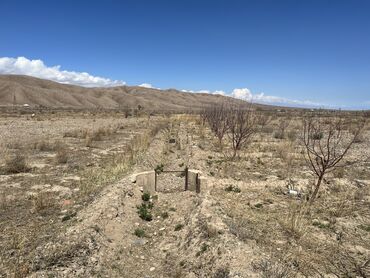 Продажа участков: 600 соток, Для сельского хозяйства, Красная книга, Тех паспорт, Договор купли-продажи — 19