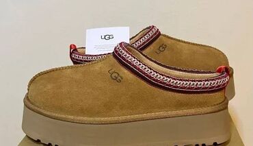 jack wolfskin obuca: Ugg obuća