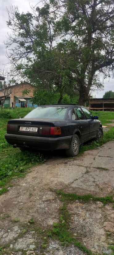 авто в рассрочку в джалал абаде: Audi 100: 1991 г., 2.5 л, Механика, Дизель, Седан