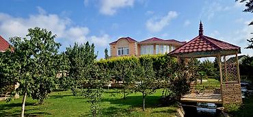 Bağ evlərinin kirayəsi: 500 kv. m, 8 otaq, Hovuzlu, Kombi, Qaz, İşıq — 8