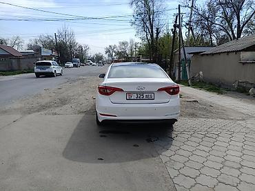 sonata dn: Hyundai Sonata: 2018 г., 2 л, Автомат — 5