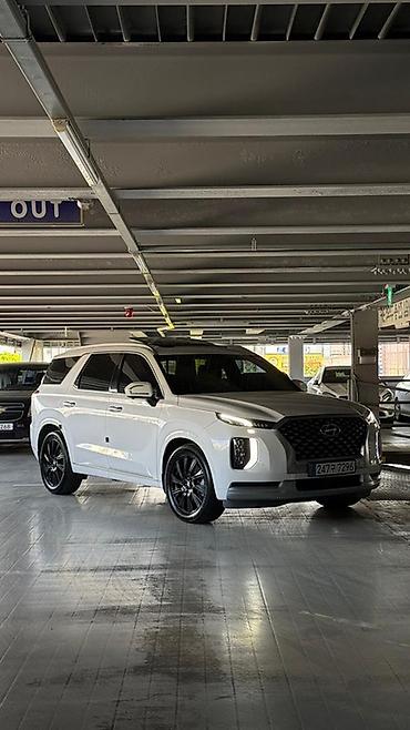 Hyundai: Hyundai Palisade: 2020 г., Кроссовер — 22